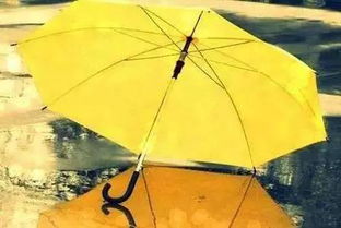 汽车雨伞温度多少合适